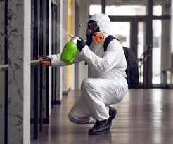 Why You Should Choose Our Mold Remediation Services in Marina, CA